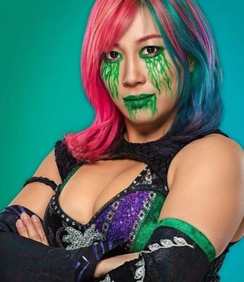 WWE Fakes