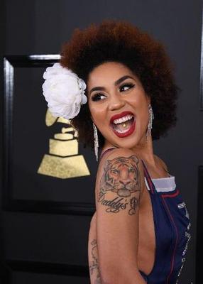 Joy Villa
